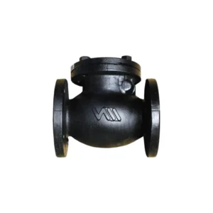 VALVULA DE RETENCION/CHECK BRIDADA CLASE 125